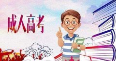 济南成人高考专升本政治考试答题