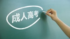 山东省成人高考院校专业汇总